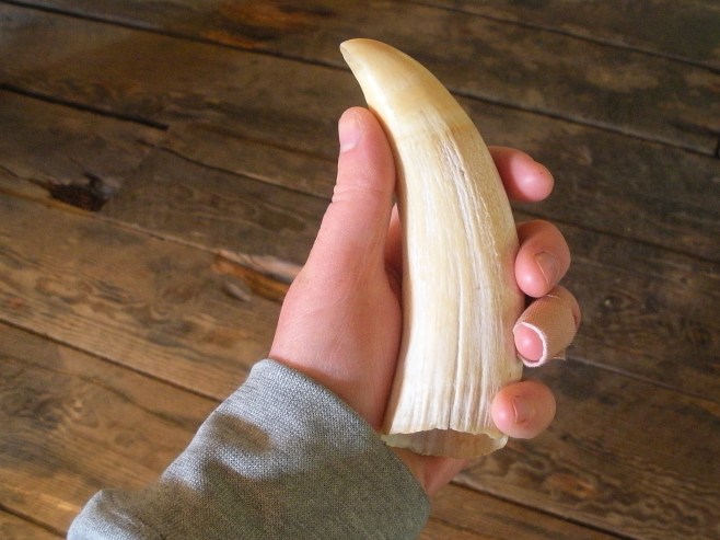 Louisa Bates_DSCN7886