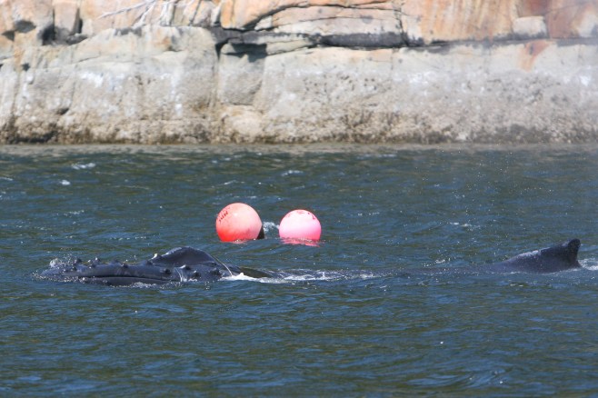 2009-06-10-1-2_ Jared Towers BCY0710