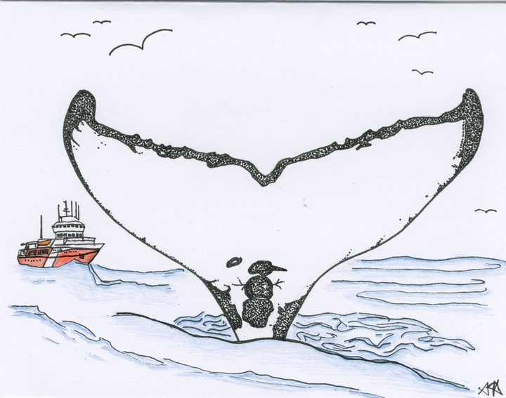 Frosty the Humpback Stacey Hrushowy