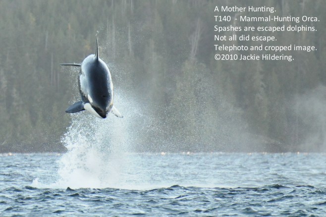 two-by-three-ratio-0772