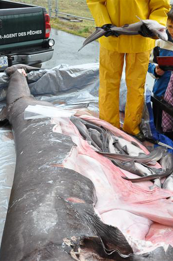 Leila Aus February 10 2011 061 (Medium)