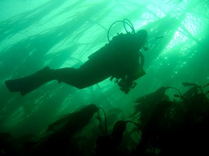 jackie in kelp DSC05416b