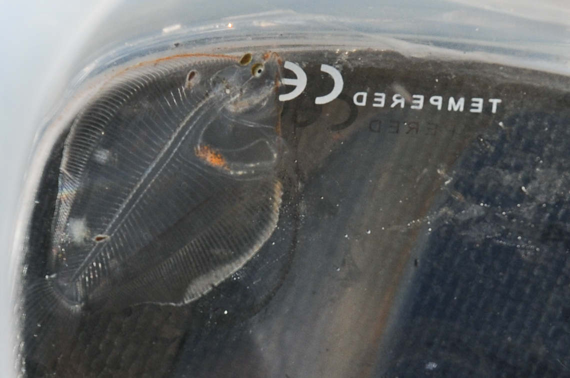 © 2012 Jackie Hildering-0505