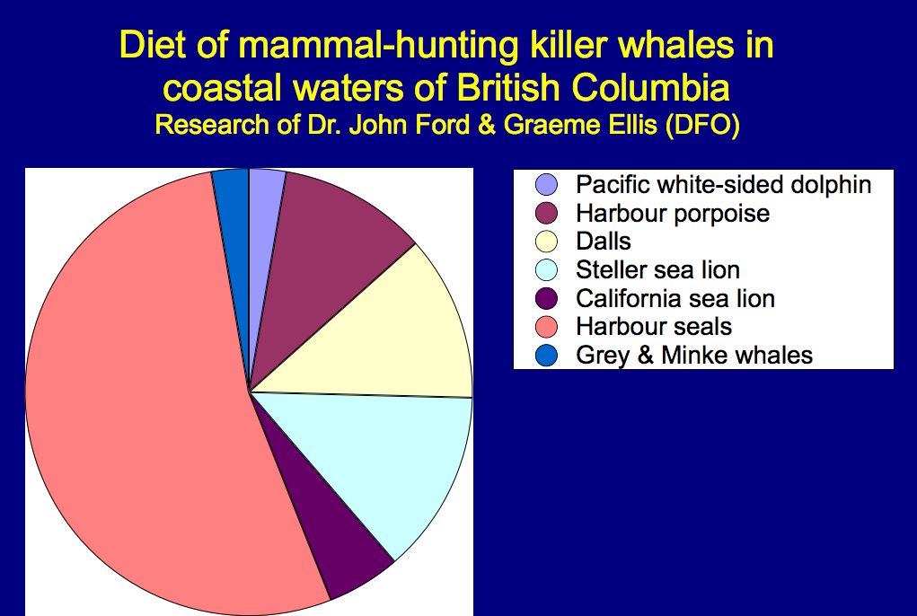 Research of Dr. John Ford and Graeme Ellis on the diet of mammal-hunting killer whales in the Northeast Pacific Ocean. Source: Presentation "The Complicated Predator" by Dr. Lance Barrett-Lennard; October 2005.