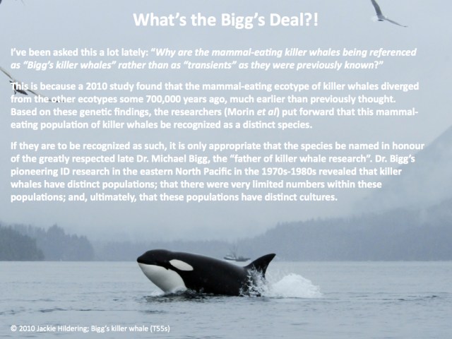 What's the Bigg's Deal.001.001