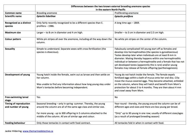 brooding vs. proliferating table
