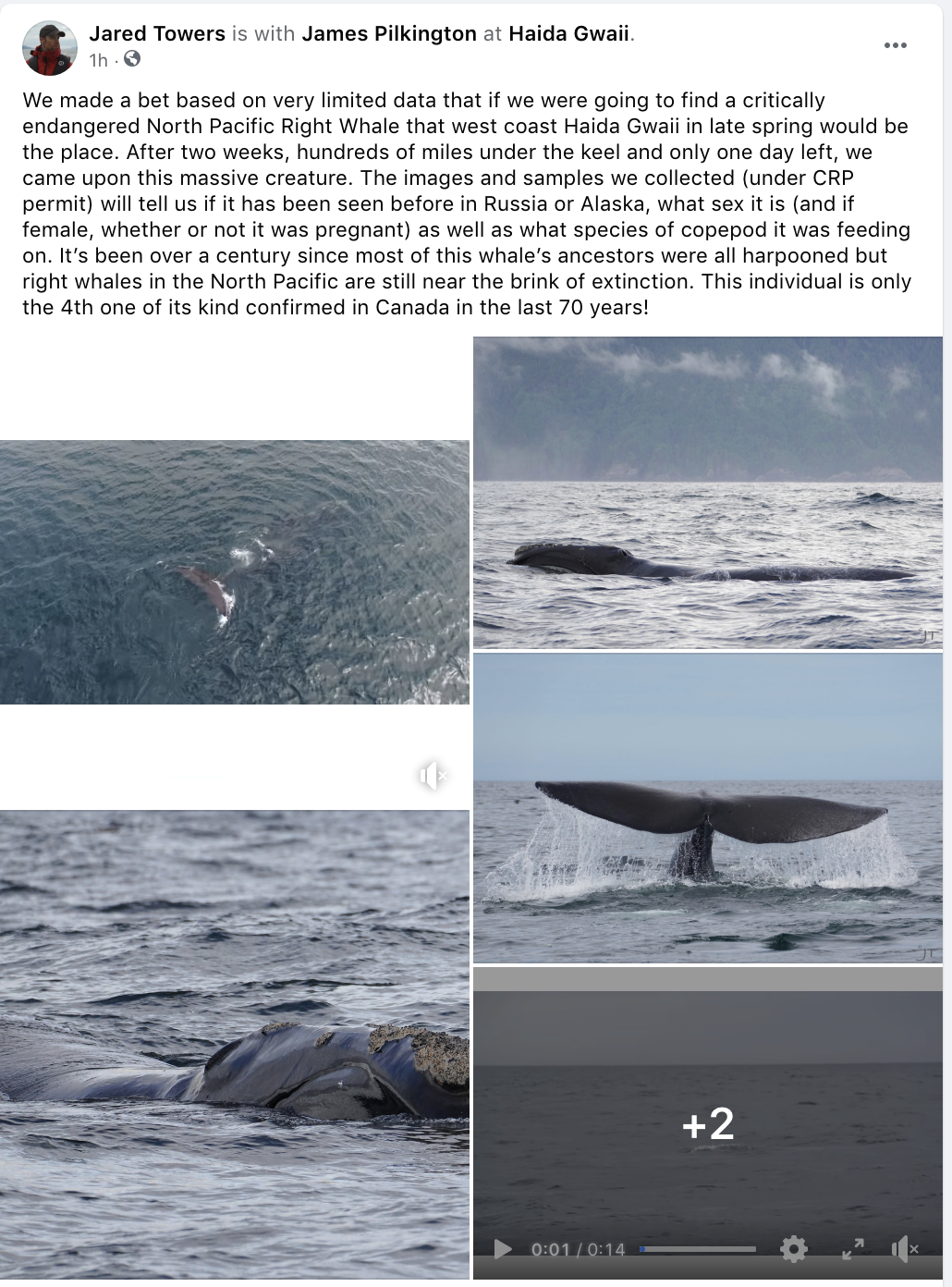 Screen Shot 2021-06-15 at 16.45.41