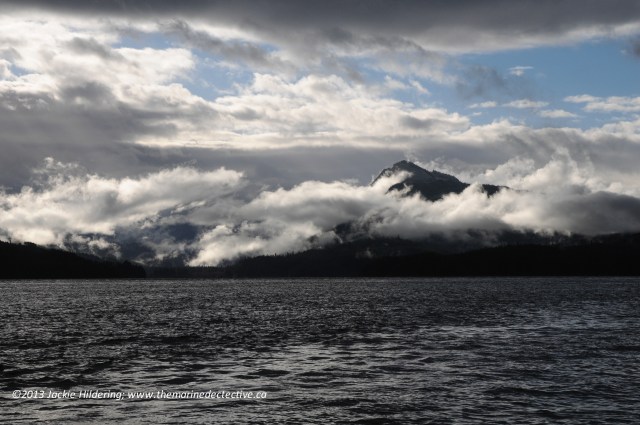 Photo taken today, long before the rescue. Snow on the mountain tops. © 2013 Jackie Hildering