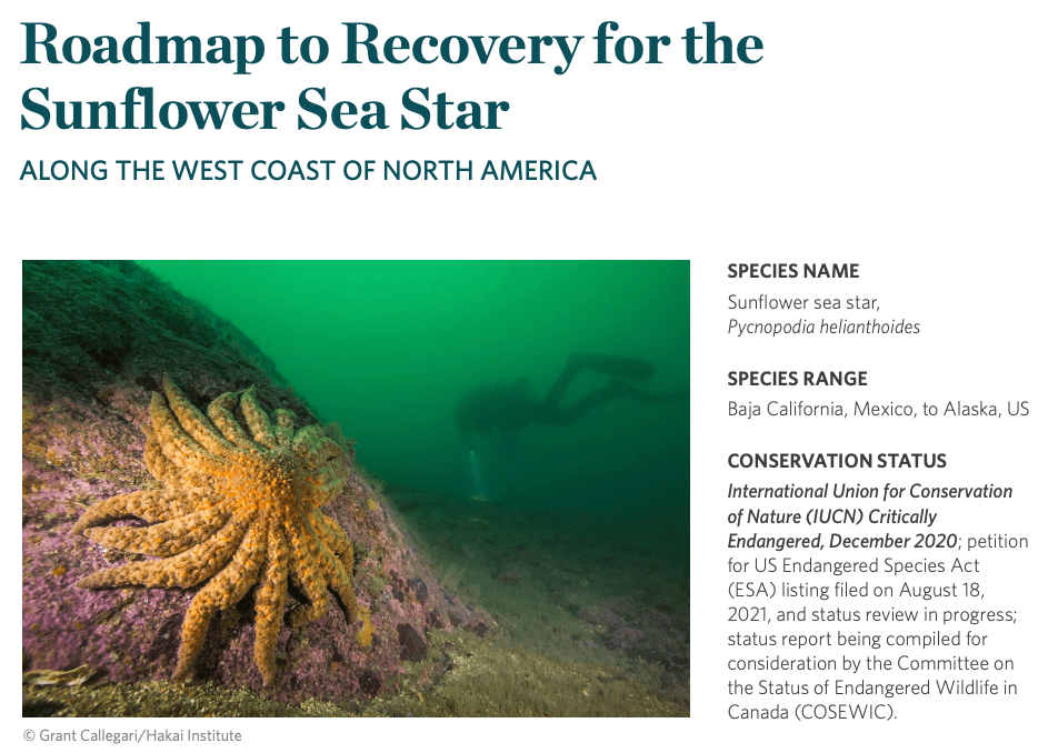 Screen Shot 2022-12-04 at 22.17.02