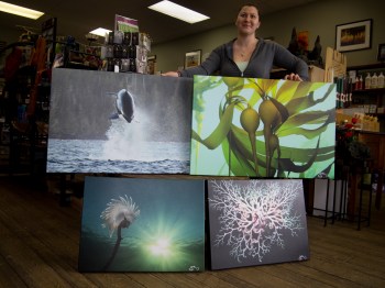 Ready-to-hang canvases. Top two are 24 x 36" for $349. Bottom two are 18 x 24" for $249. Price includes shipping in the US and Canada but not taxes. Sold locally at East of Java and the West Coast Community Craft Shop.