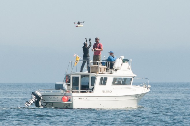 Dr. Holly Fearnback releasing the helicopter. Dr. John Durban centre and Dr.Lance Barrett Leonard on the right. Photo: Hildering. 