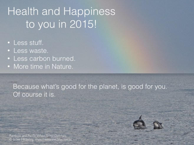 Rainbow and Pacific White-Sided Dolphins. ©Jackie Hildering.