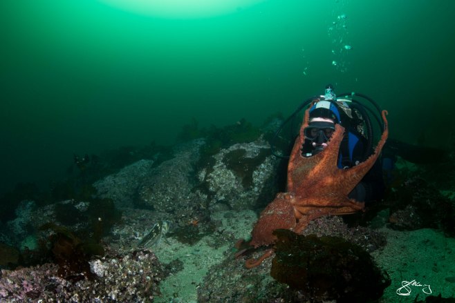 ©2015 Jackie Hildering