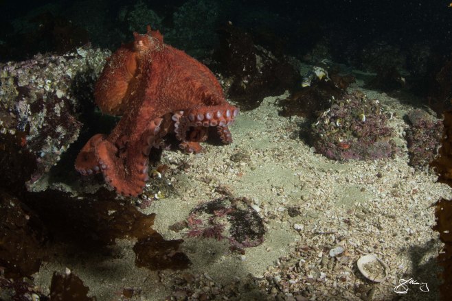 ©2015 Jackie Hildering