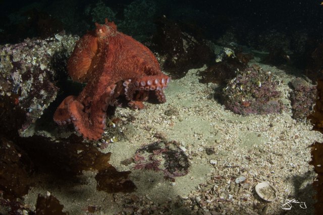 ©2015 Jackie Hildering