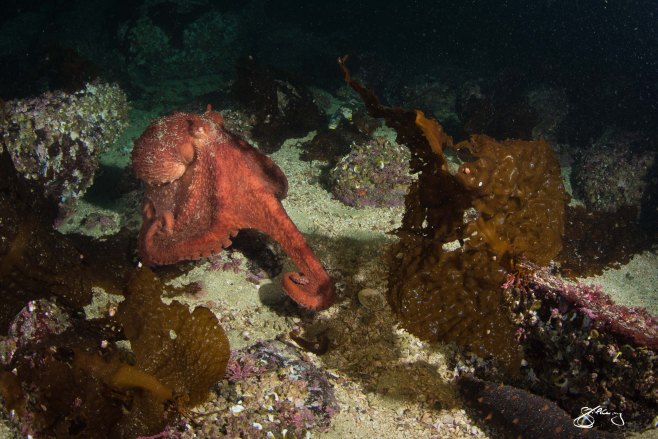 ©2015 Jackie Hildering