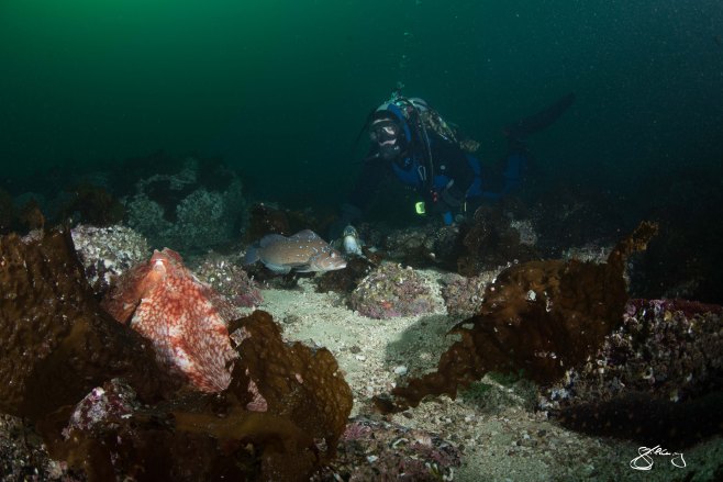 ©2015 Jackie Hildering