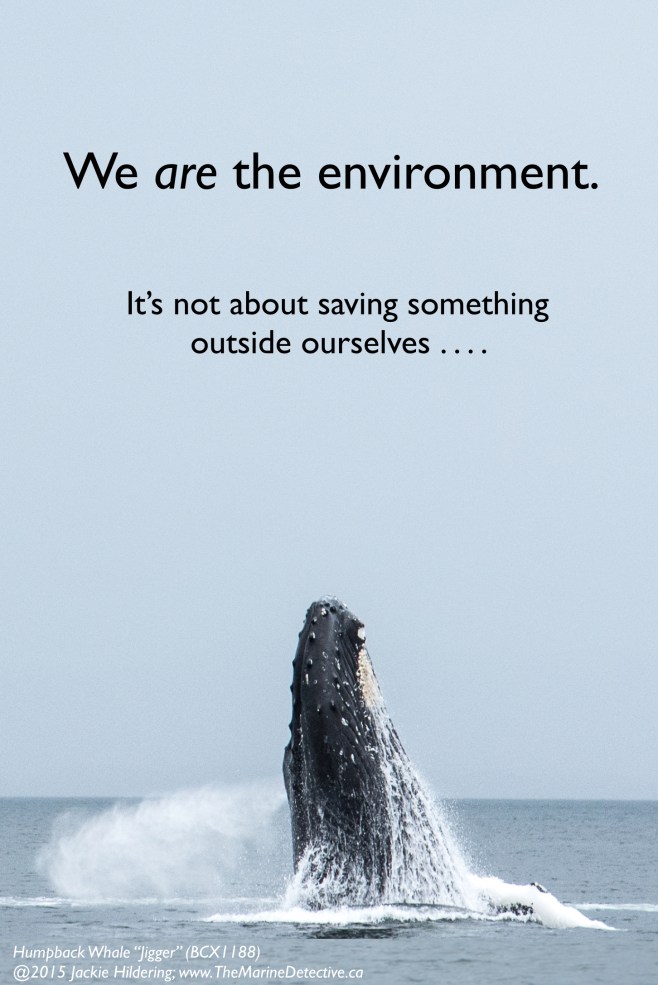 It is such a limitation to think, and feel, and speak in a way that this is somehow about something outside ourselves . . . saving “the environment.” We are the environment. It’s not about saving something outside ourselves . . . whales, wetlands, trees, fish. It’s about choices that benefit ourselves and future generations, providing the greatest chances for health and happiness. It’s about children. That's what all these photos and words are about here on "The Marine Detective" folks. Inspiration. Connection. Understanding our capacity for positive change. Caring More. Consuming Less. Voting for the future. And, knowing our place IN the environment. ©2015 Jackie Hildering; #OceanVoice; www.TheMarineDetective.ca