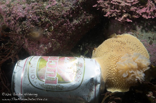 @2016 Jackie Hildering one time use -13324