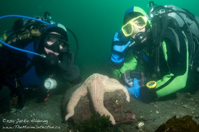 Dive buddies near Giant Pink Star. Left, Natasha Dickinson. Right, Alexandra Spicer. ©Jackie Hildering; themarinedetective.ca.