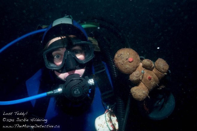 Lost Teddy! Wouldn't it be remarkable to find out how, where and when s/he ended up in the Ocean?