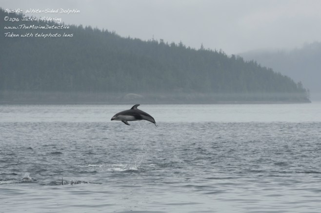 @2016 Jackie Hildering-10759