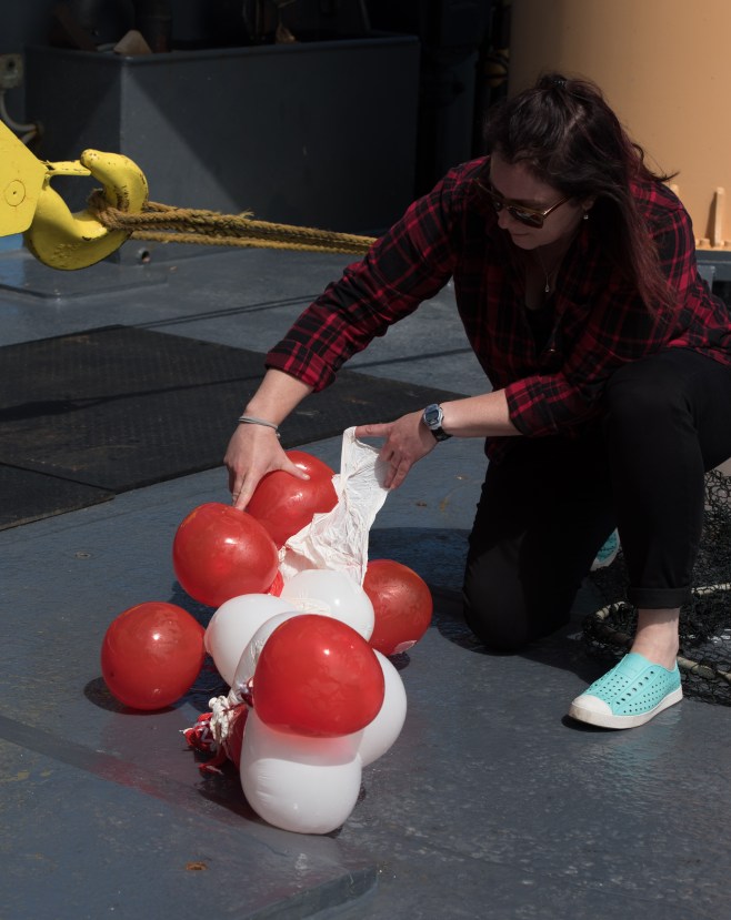 You can certainly see how the balloons could be mistaken for jellies.<br> Lisa Spaven of DFO in photo.