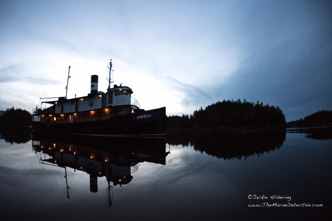 MV Swell built in 1912 with major overhauls by Maple Leaf Adventures to be both very comfortable and have a reduced carbon footprint / be energy efficient.