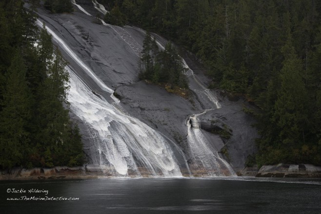 Lacey Falls, Broughton Archipelago. ©2016 Jackie Hildering.