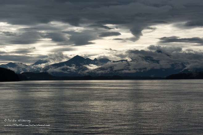 Morning light. ©2016 Jackie Hildering.