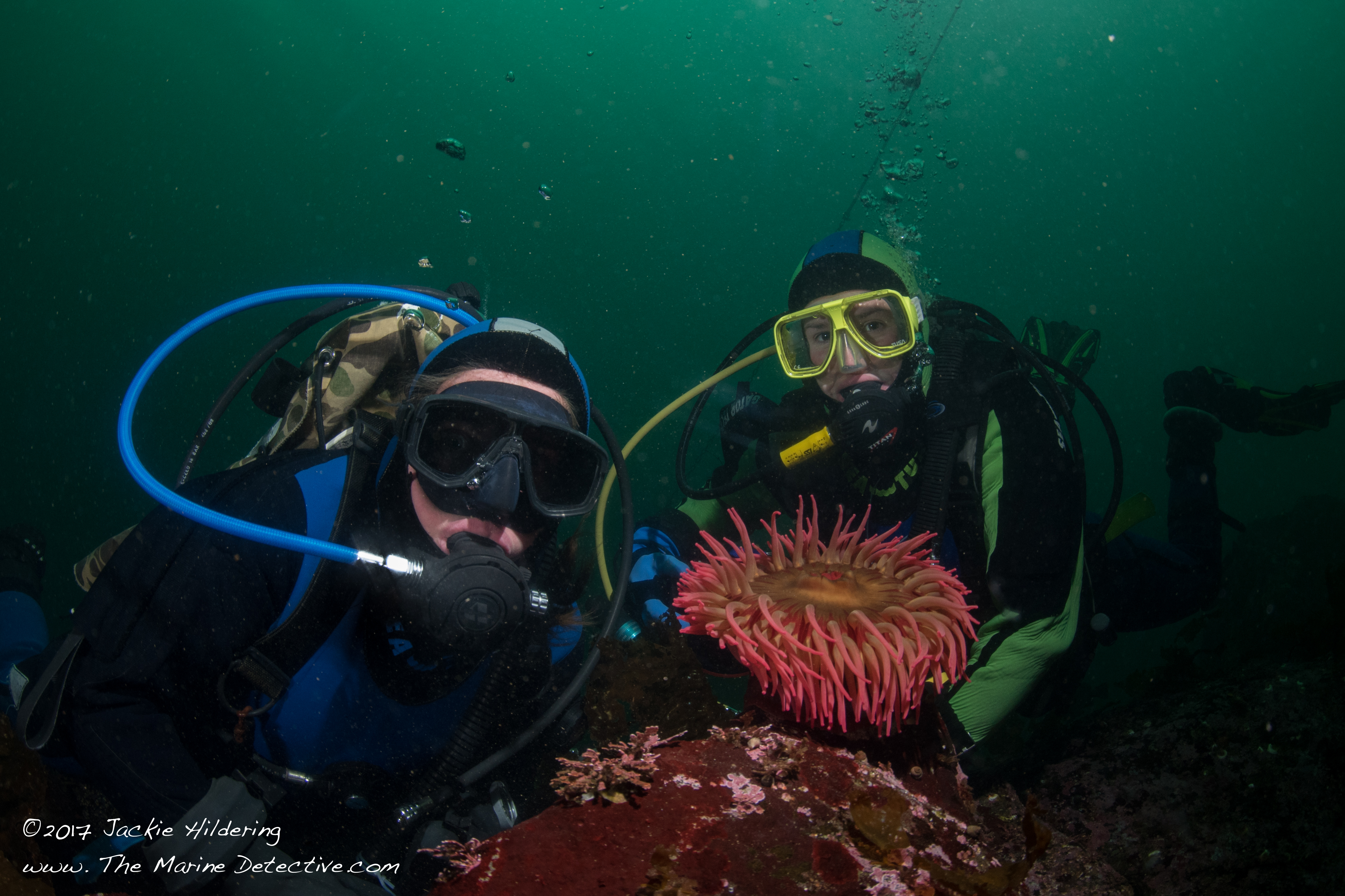 Dive buddies . . . could not do it without them. Here, Natasha Dickinson and Alexandra Spicer. Dear dive buddy Jacqui Engel was unable to join due to the flu but her name absolutely needs to appear on this post where I am reflecting on 1,000 dives and how I got here. ©2017 Jackie Hildering.
