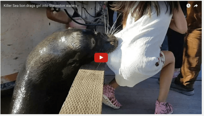 18588743_10155592674299218_1830232447761924957_o