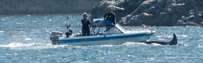 KW_2016-09-08_JH_Wastell Islands-12598